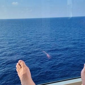 Meet your Posher, Howard